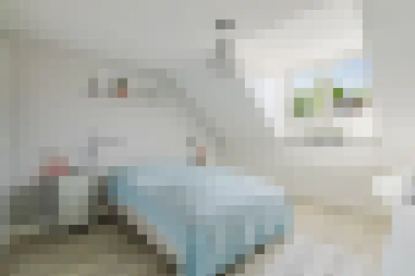 Den Dries 22 Liempde thumbnail 39