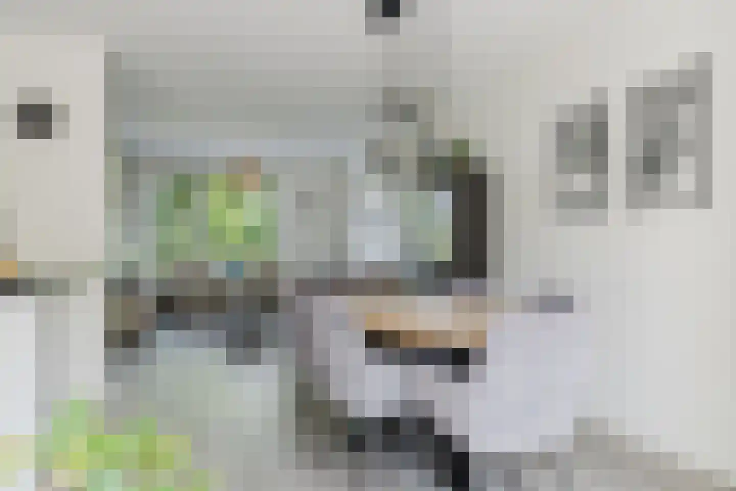 Den Dries 22 Liempde thumbnail 4
