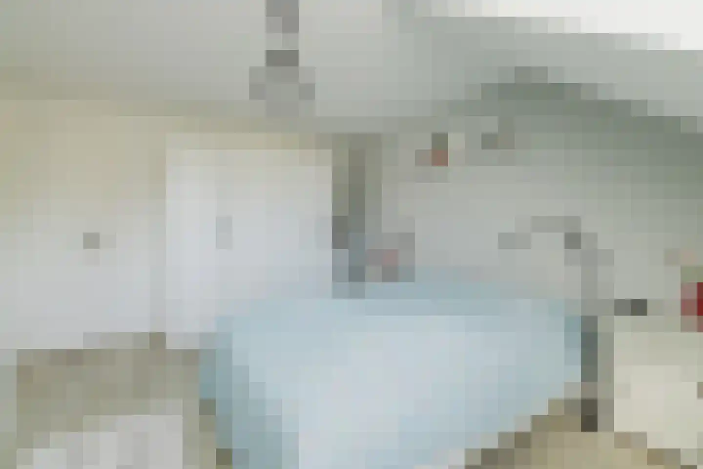 Den Dries 22 Liempde thumbnail 40