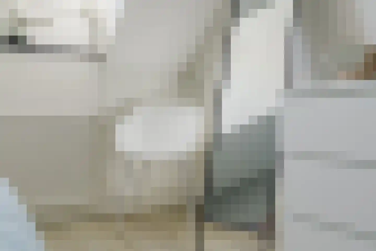 Den Dries 22 Liempde thumbnail 42