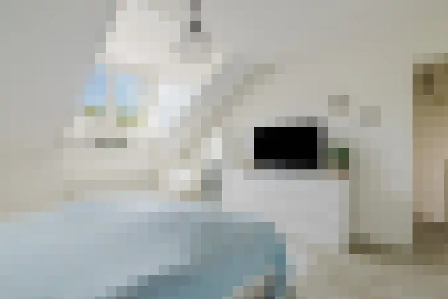 Den Dries 22 Liempde thumbnail 43