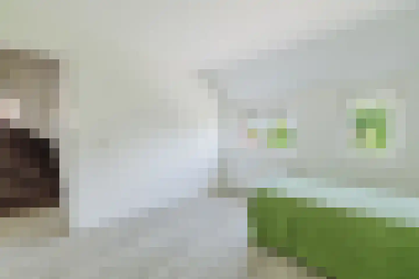 Den Dries 22 Liempde thumbnail 45
