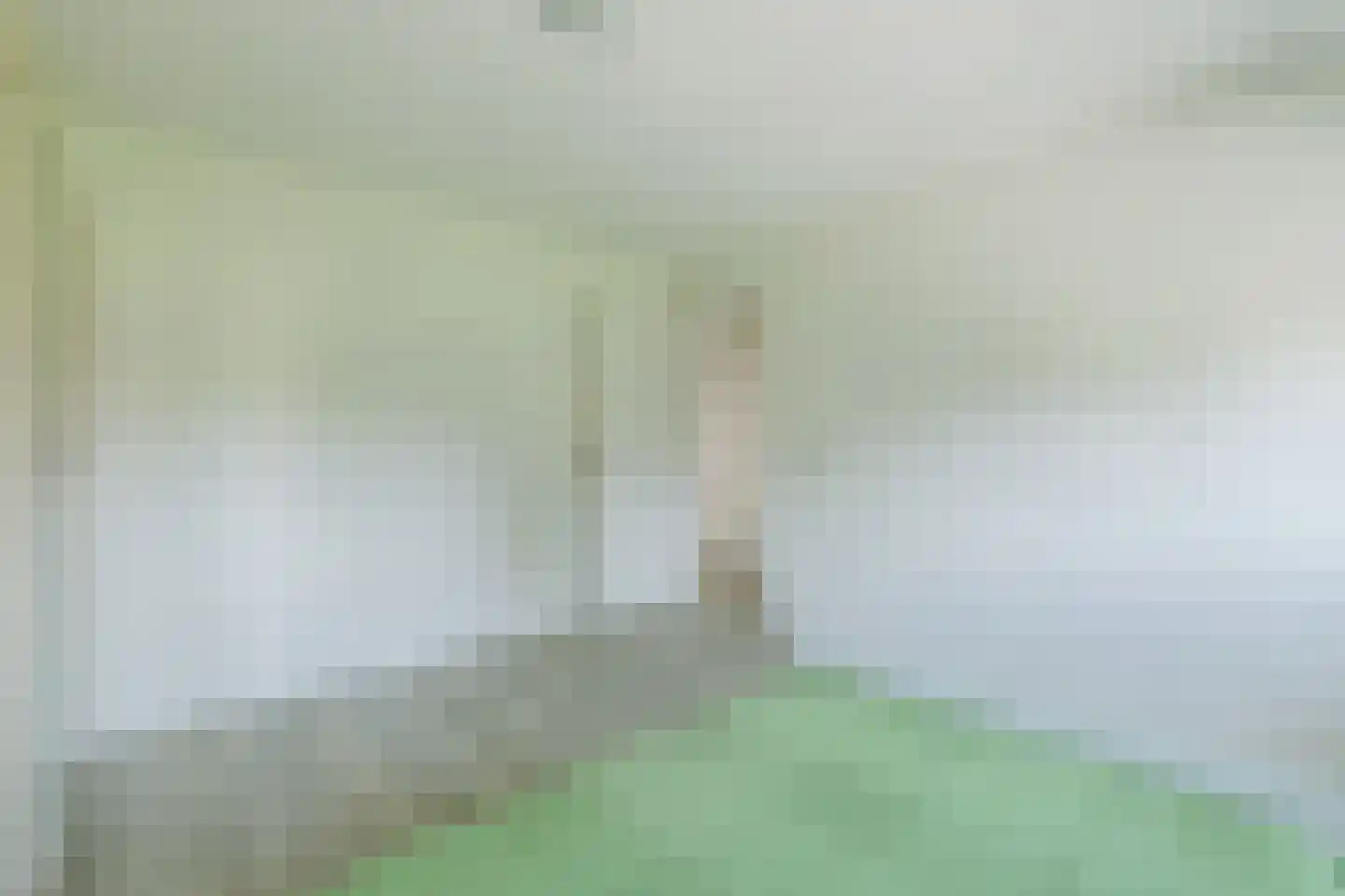 Den Dries 22 Liempde thumbnail 47