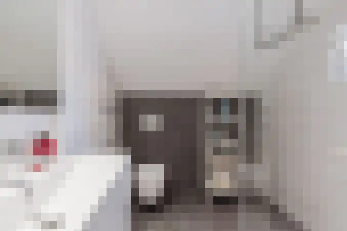 Den Dries 22 Liempde thumbnail 50
