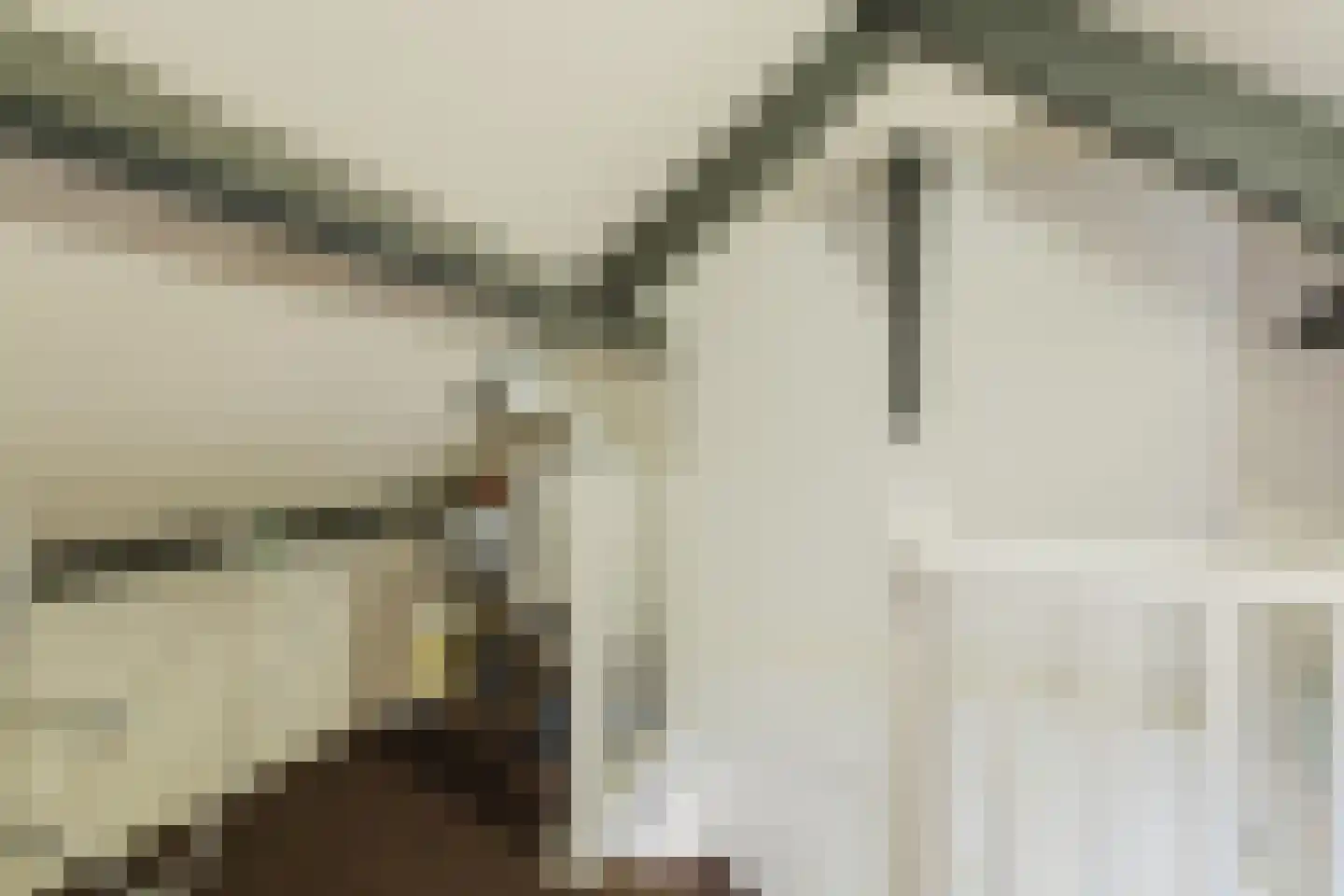 Den Dries 22 Liempde thumbnail 53