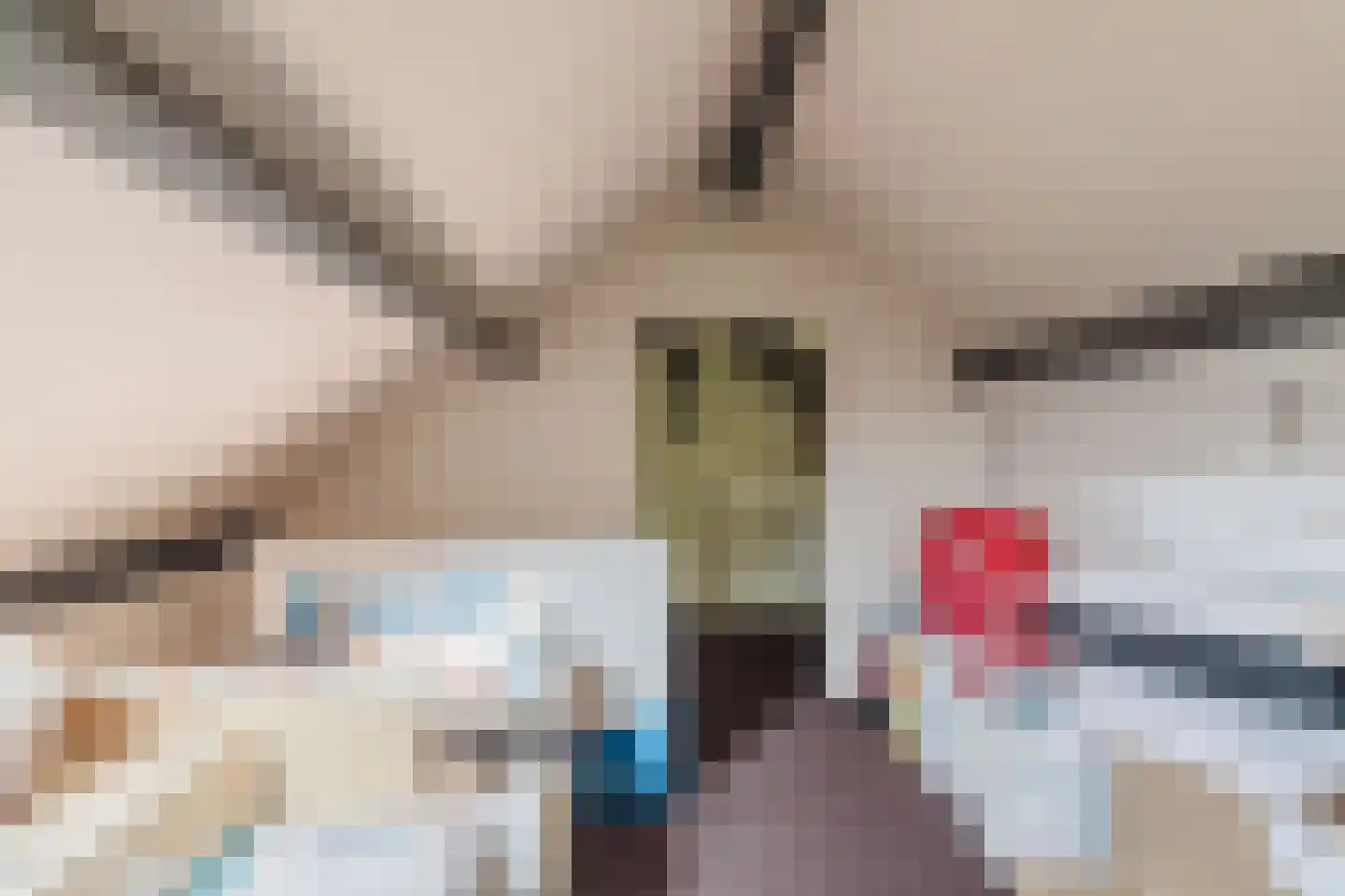 Den Dries 22 Liempde thumbnail 55