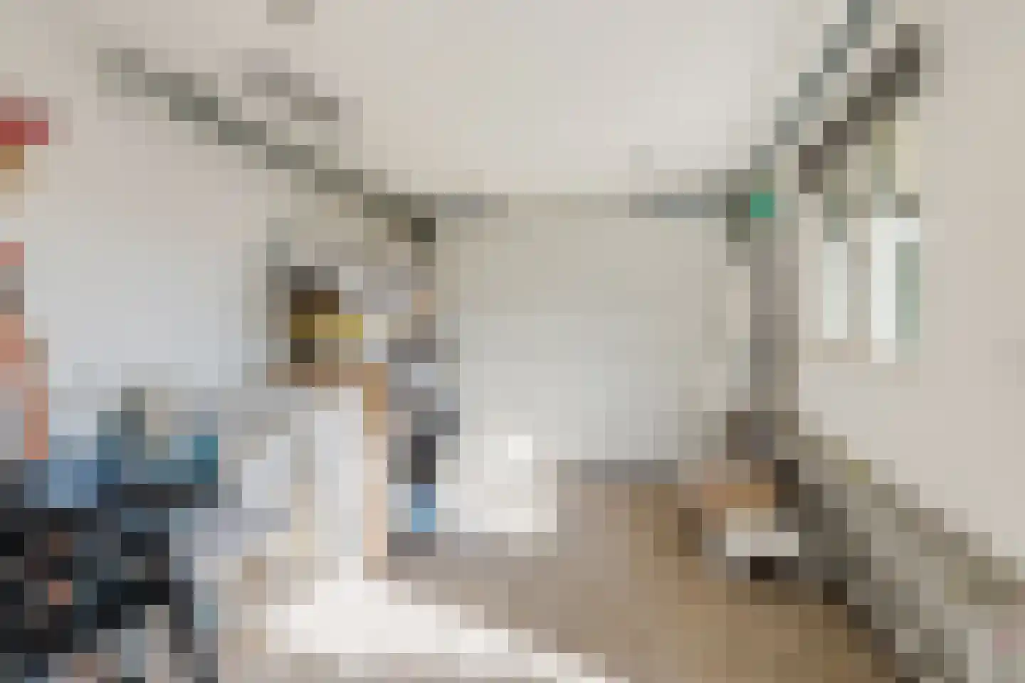 Den Dries 22 Liempde thumbnail 56