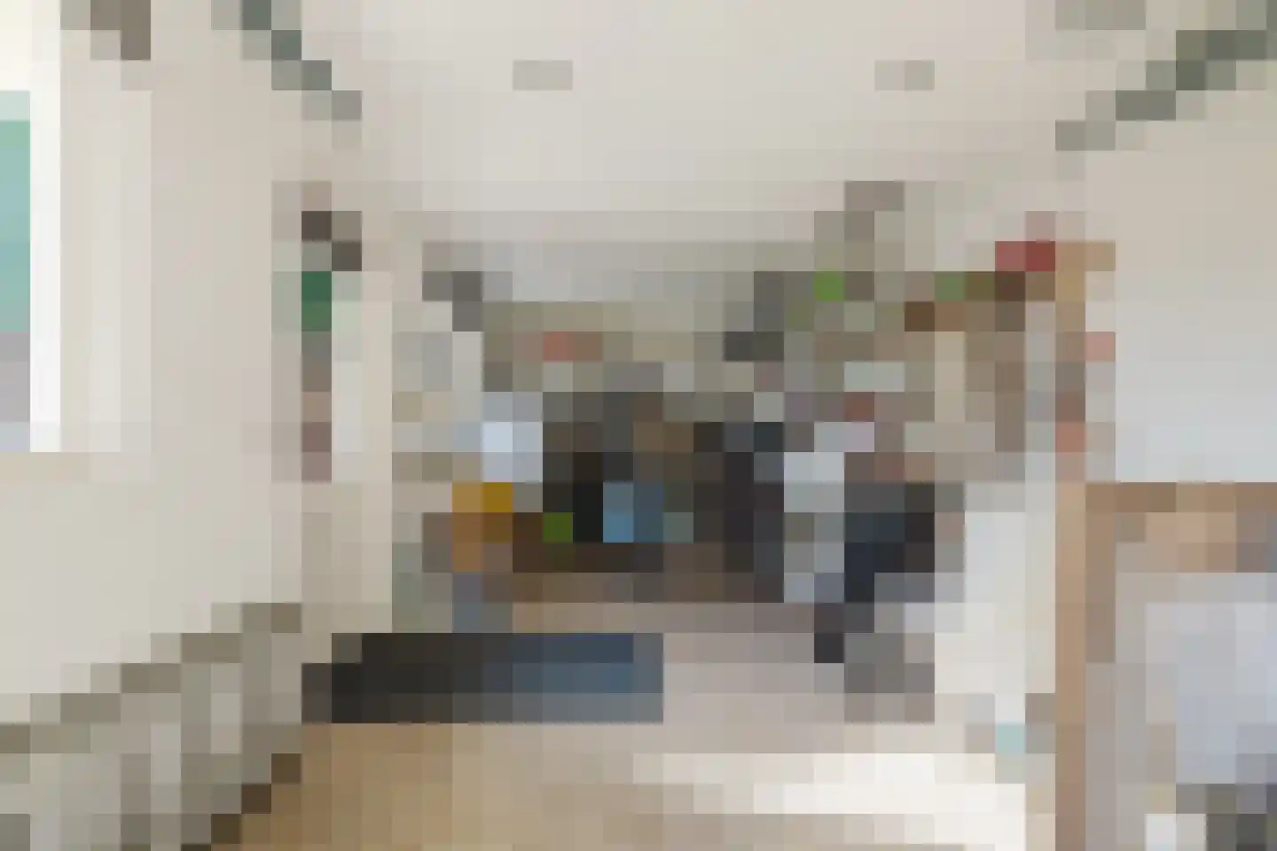 Den Dries 22 Liempde thumbnail 57