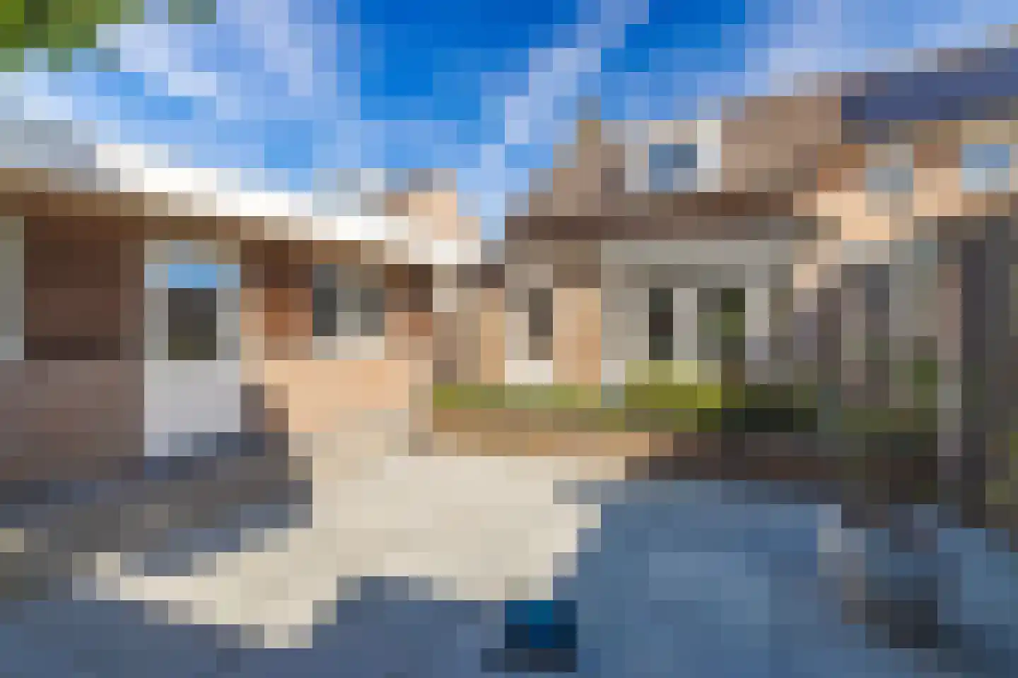 Den Dries 22 Liempde thumbnail 60
