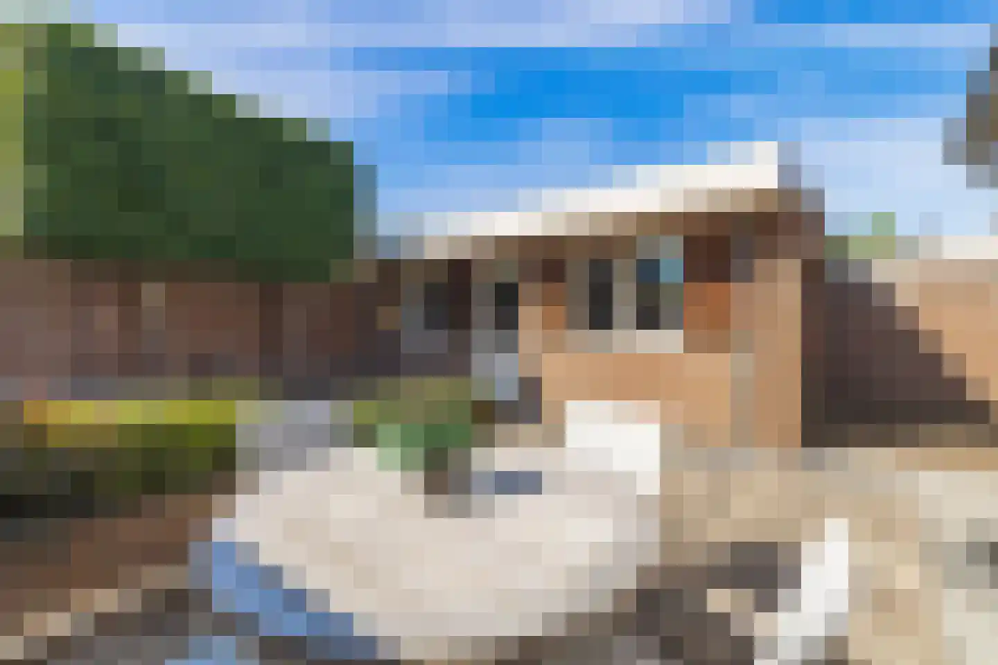 Den Dries 22 Liempde thumbnail 63