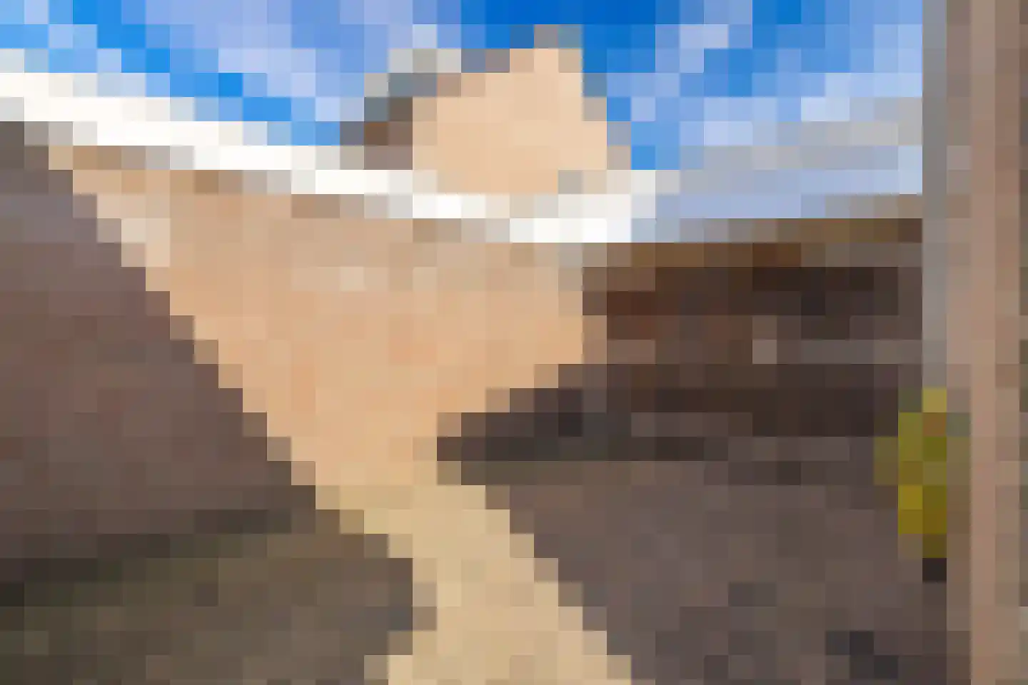 Den Dries 22 Liempde thumbnail 64