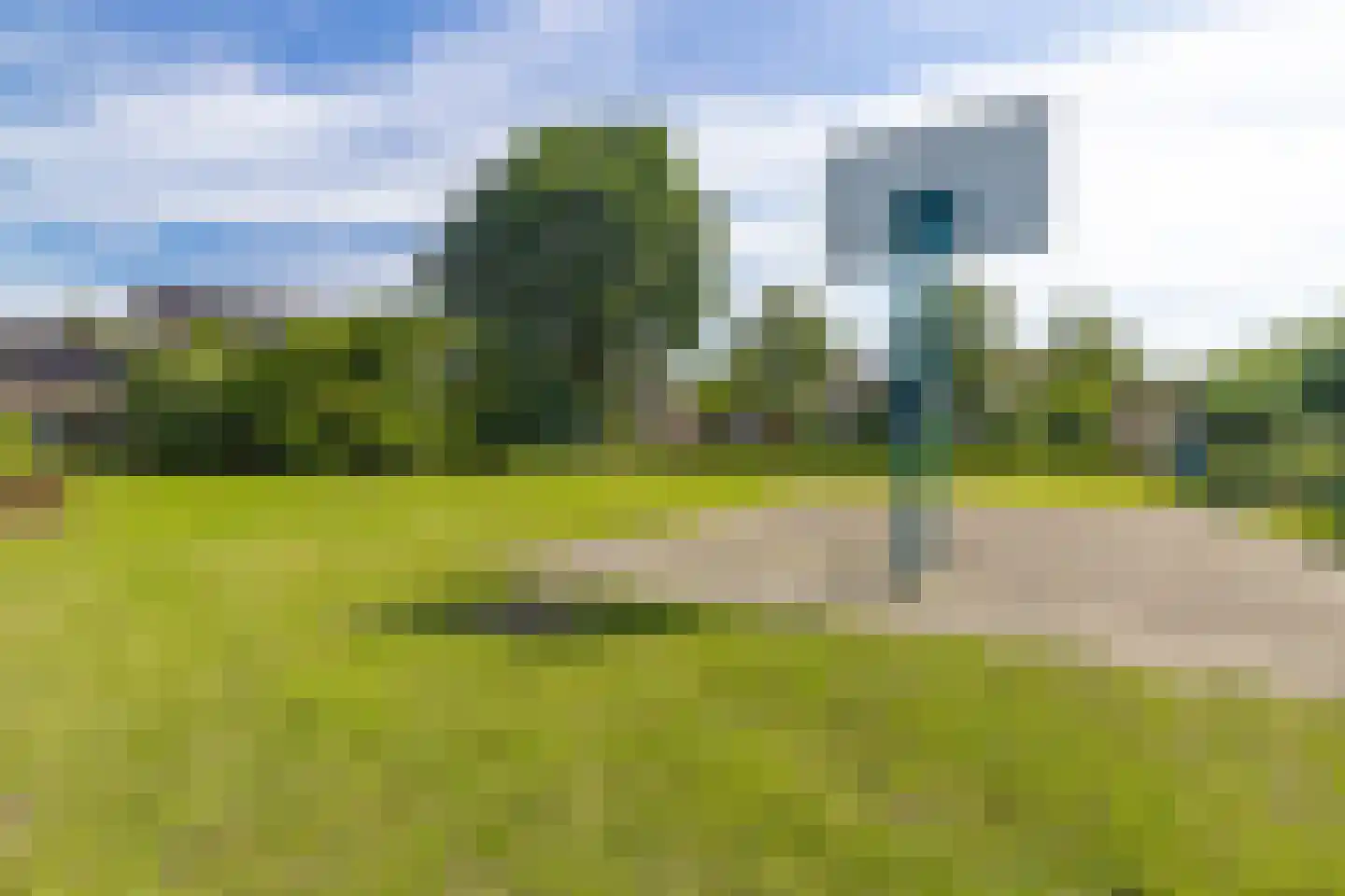 Den Dries 22 Liempde thumbnail 66