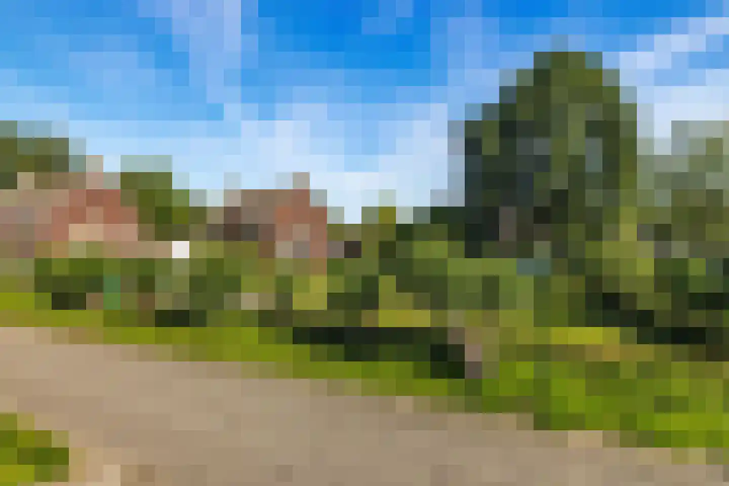 Den Dries 22 Liempde thumbnail 67