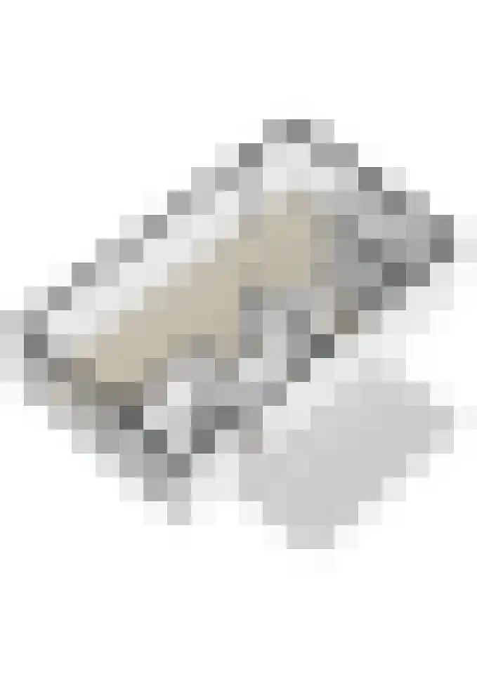 Den Dries 22 Liempde thumbnail 69