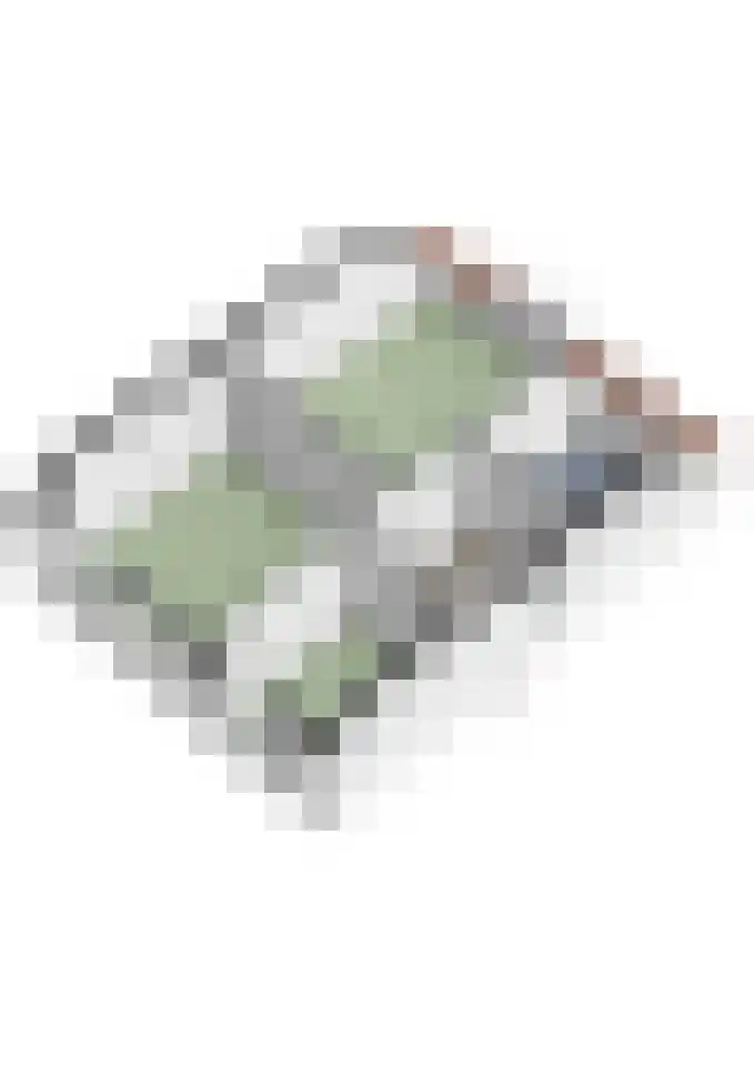 Den Dries 22 Liempde thumbnail 71