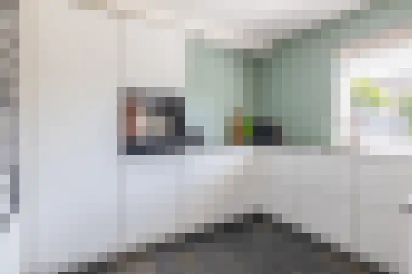 Den Dries 22 Sint-Oedenrode thumbnail 12