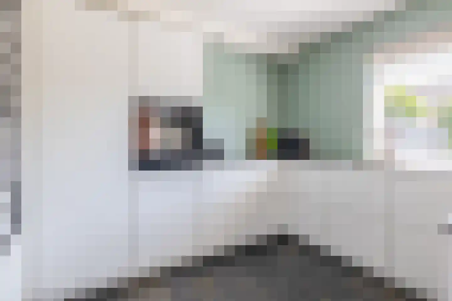 Den Dries 22 Sint-Oedenrode thumbnail 13