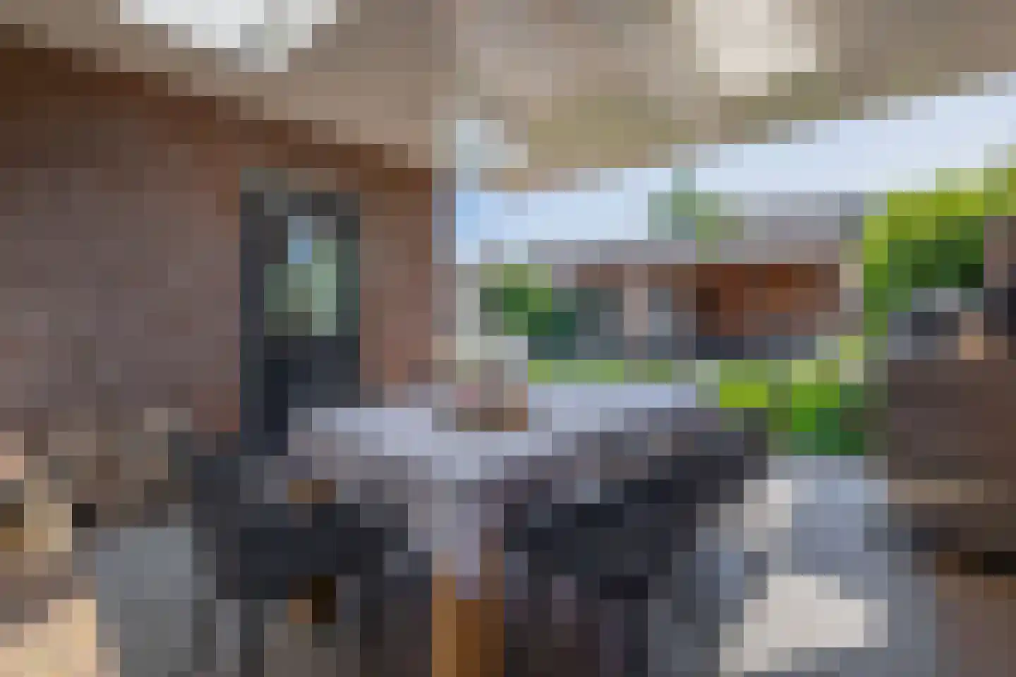 Den Dries 22 Sint-Oedenrode thumbnail 20