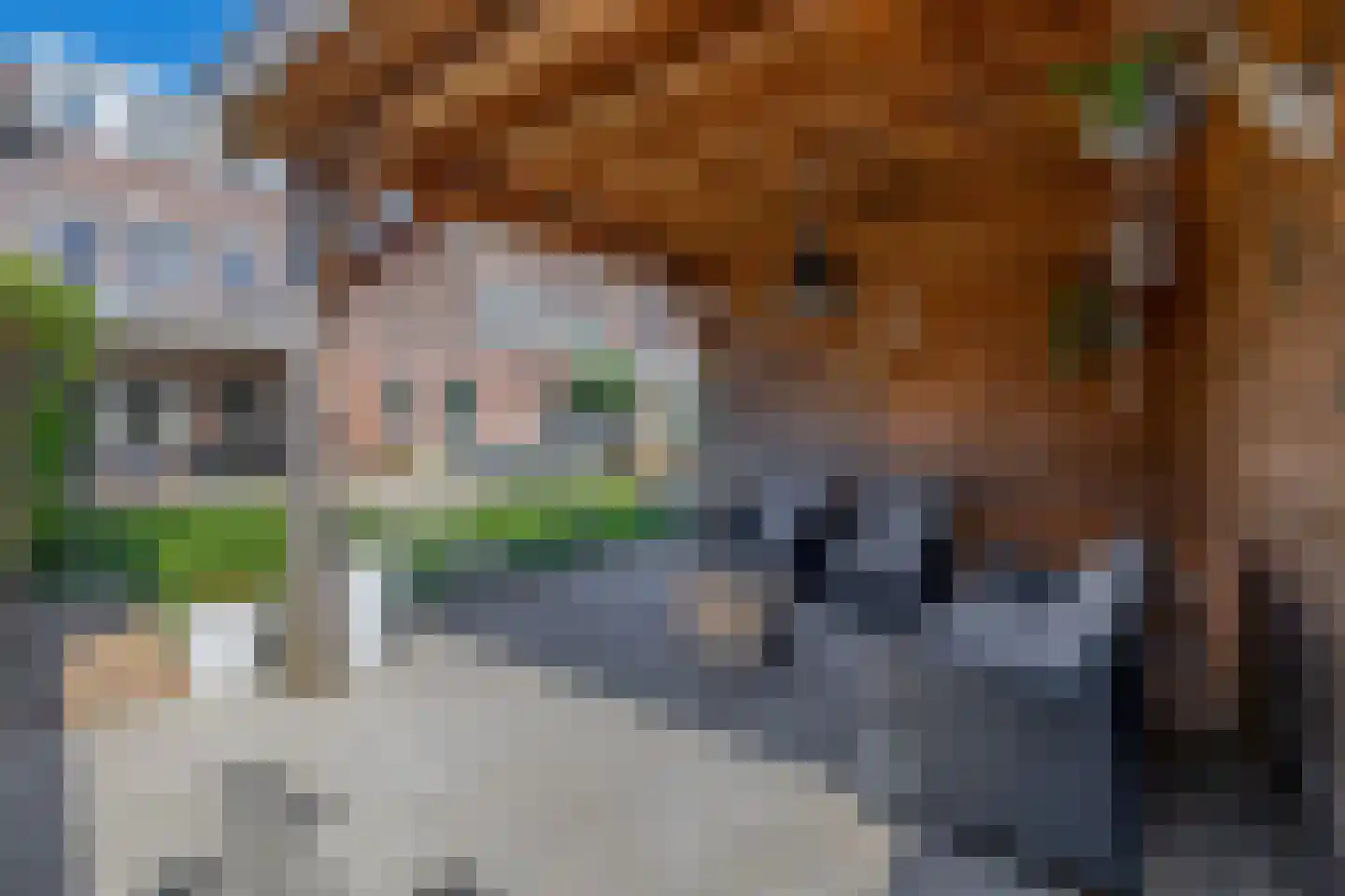 Den Dries 22 Sint-Oedenrode thumbnail 24