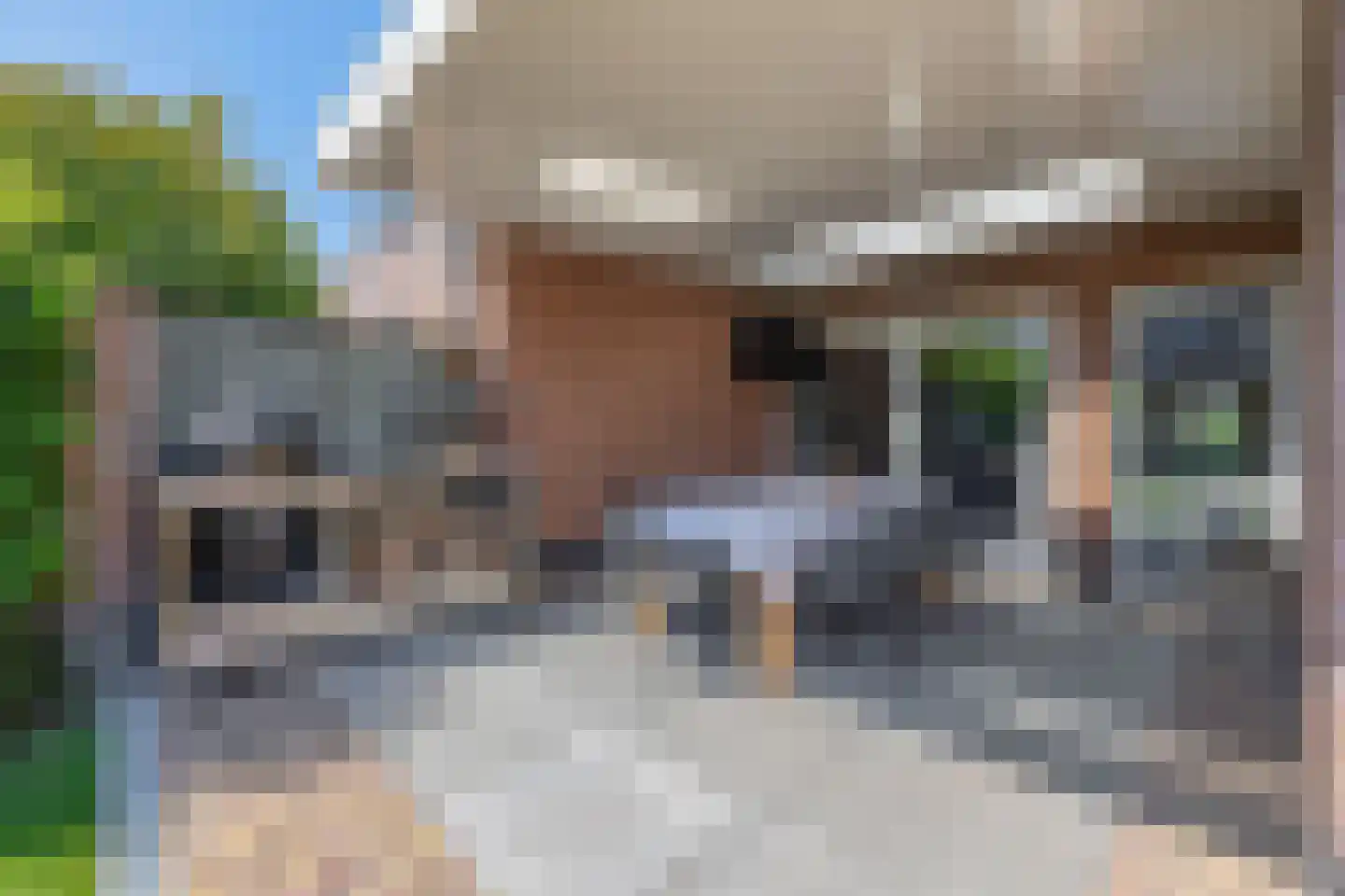 Den Dries 22 Sint-Oedenrode thumbnail 26