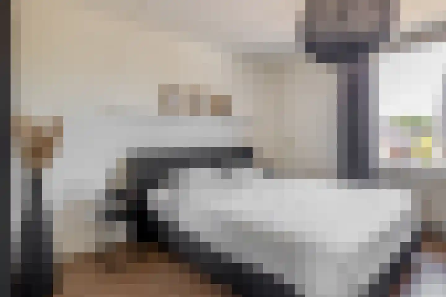 Den Dries 22 Sint-Oedenrode thumbnail 30