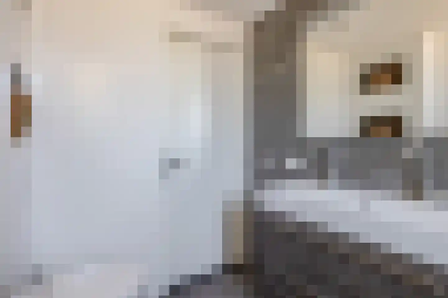 Den Dries 22 Sint-Oedenrode thumbnail 37
