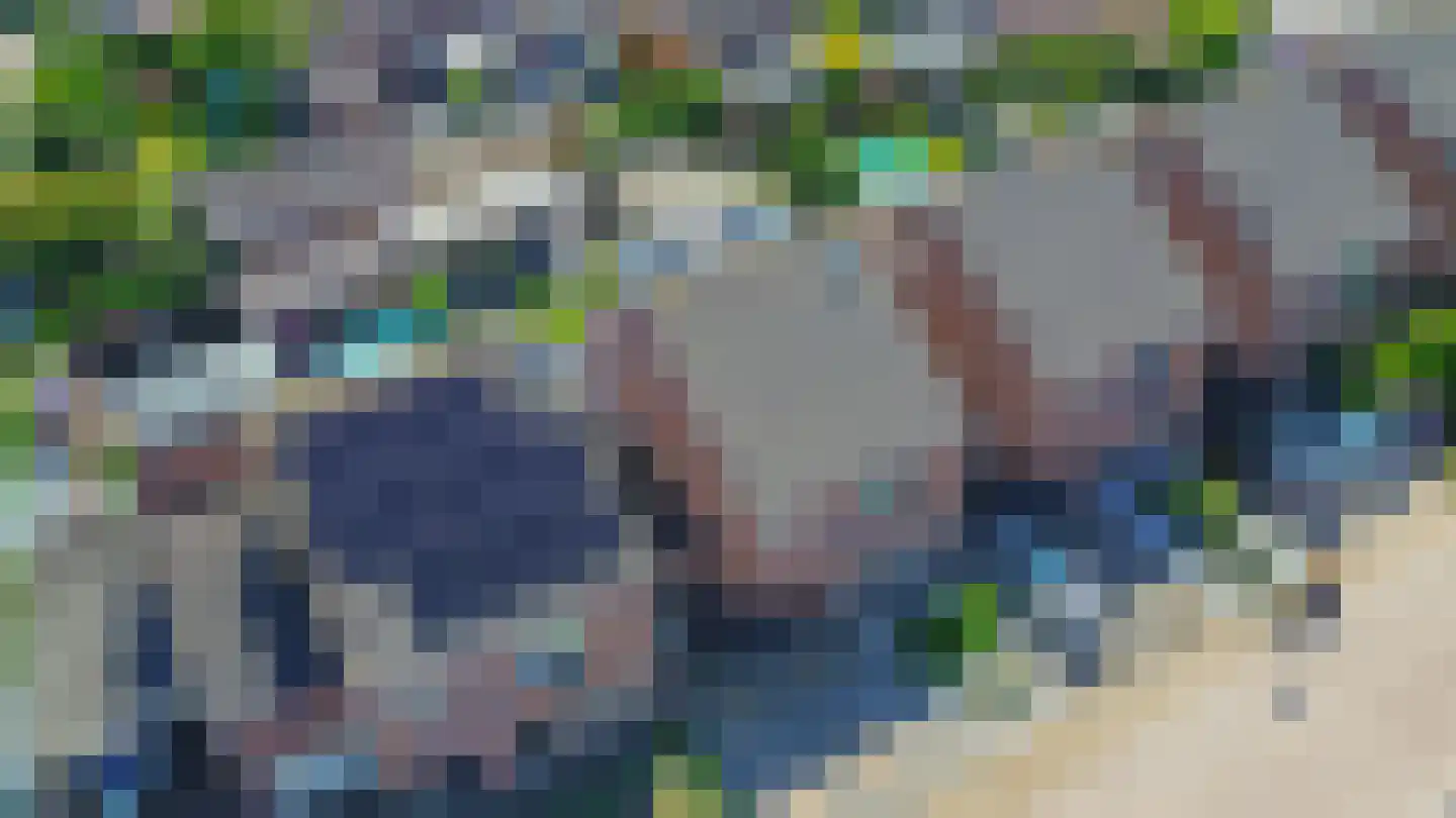 Den Dries 22 Sint-Oedenrode thumbnail 48