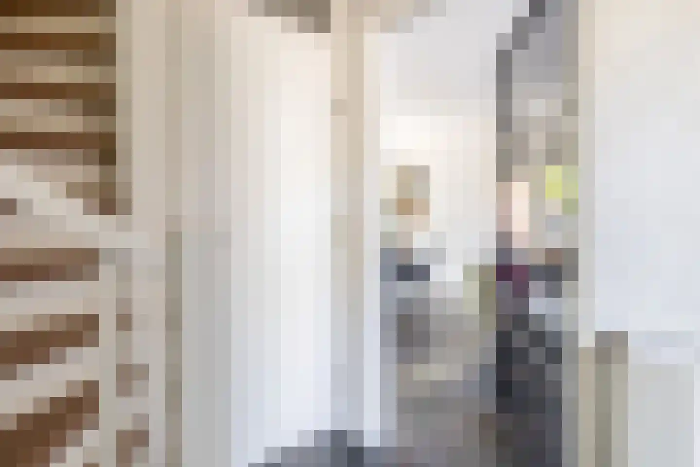 Den Dries 22 Sint-Oedenrode thumbnail 5