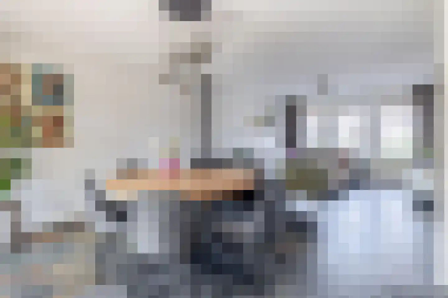Den Dries 22 Sint-Oedenrode thumbnail 9