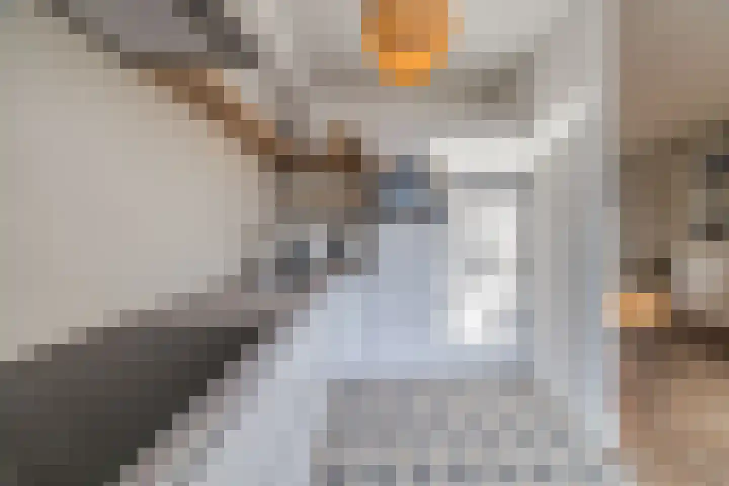 Den Dries 4 Diessen thumbnail 18