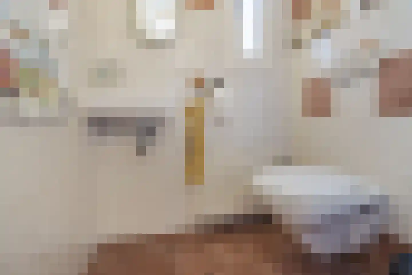 Den Dries 4 Diessen thumbnail 20