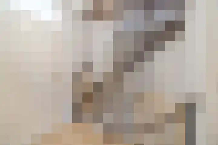 Den Dries 4 Diessen thumbnail 34