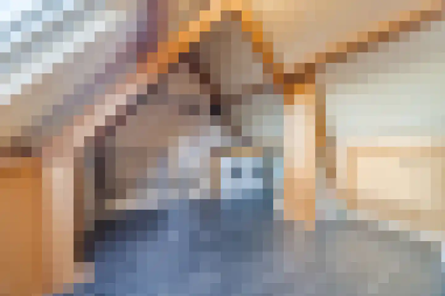 Den Dries 4 Diessen thumbnail 36