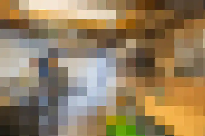 Den Dries 4 Diessen thumbnail 47