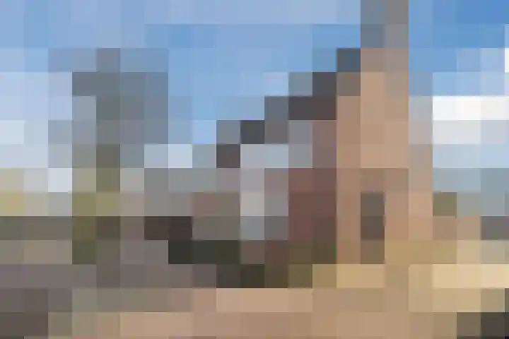 Den Dries 4 Diessen thumbnail 49