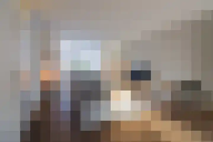 Den Dries 4 Diessen thumbnail 5