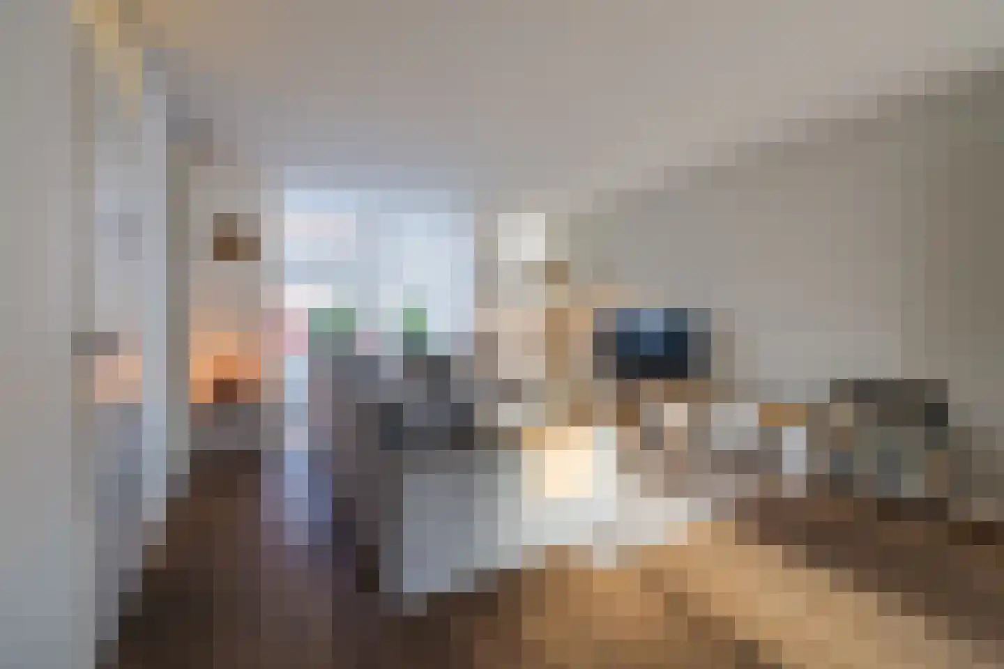 Den Dries 4 Diessen thumbnail 5