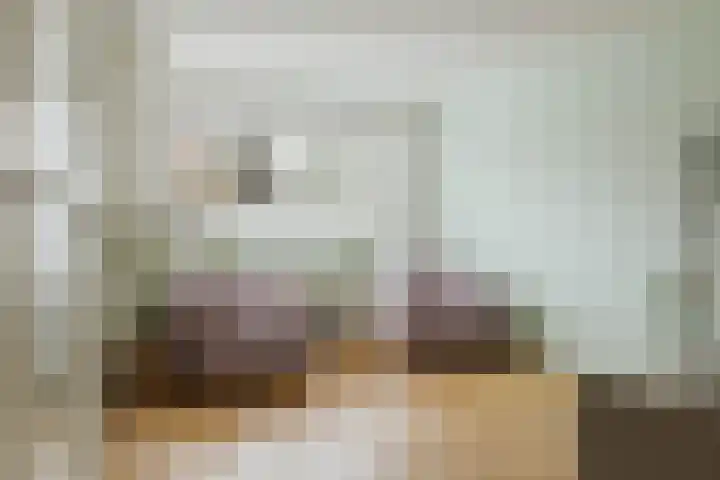 den Dries 40 Klein Zundert thumbnail 11
