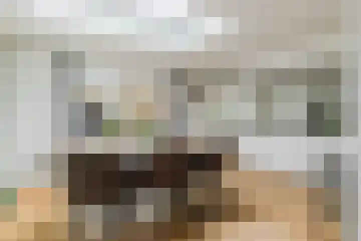 den Dries 40 Klein Zundert thumbnail 14