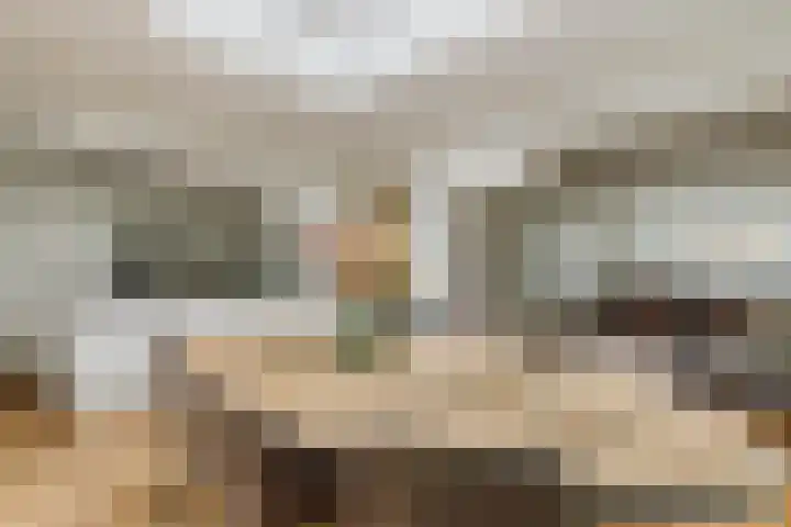 den Dries 40 Klein Zundert thumbnail 15