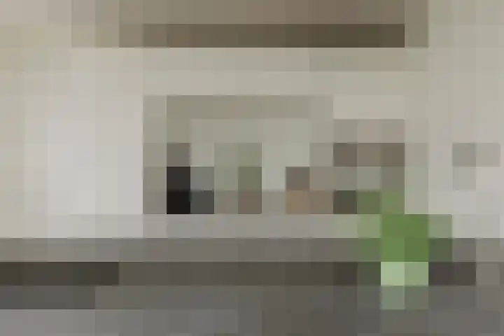 den Dries 40 Klein Zundert thumbnail 19