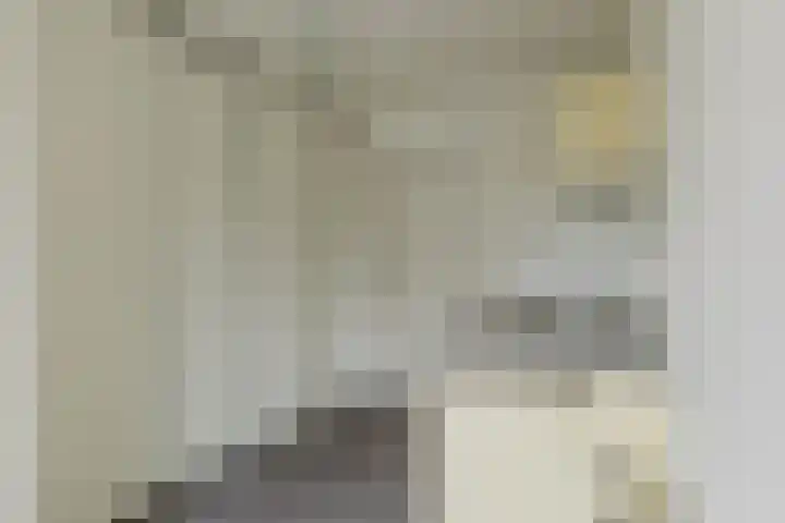 den Dries 40 Klein Zundert thumbnail 21