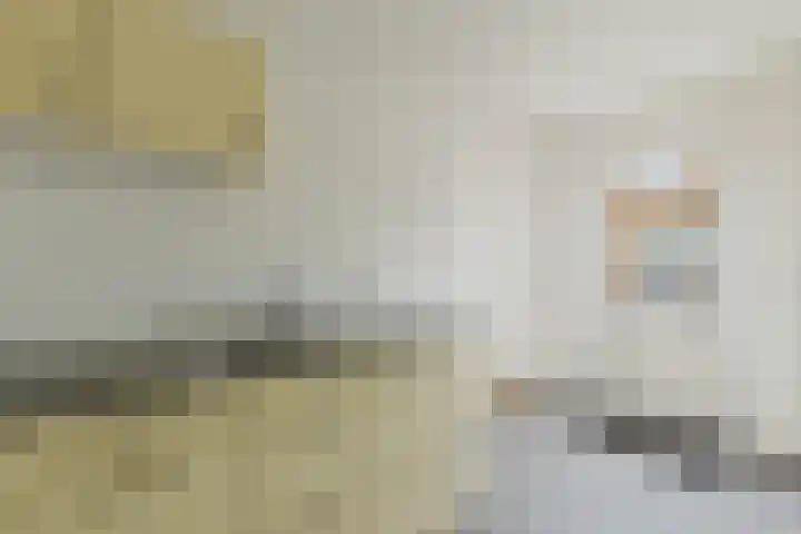 den Dries 40 Klein Zundert thumbnail 22