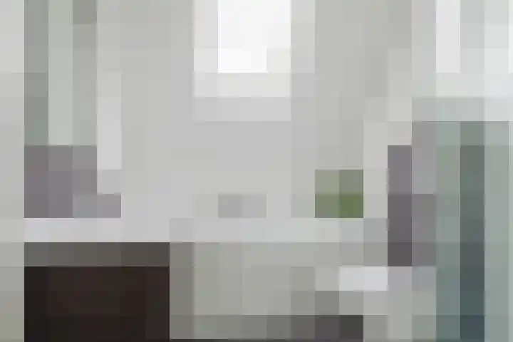 den Dries 40 Klein Zundert thumbnail 26
