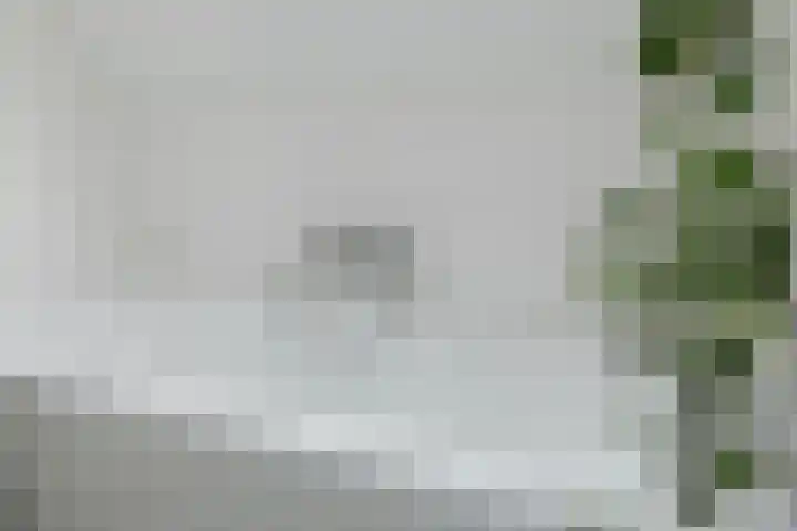 den Dries 40 Klein Zundert thumbnail 28