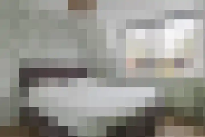den Dries 40 Klein Zundert thumbnail 30