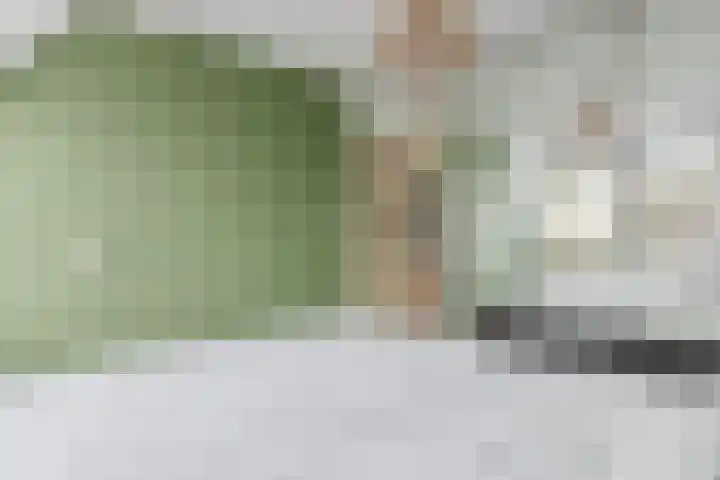den Dries 40 Klein Zundert thumbnail 31