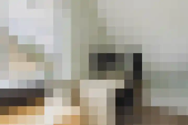 den Dries 40 Klein Zundert thumbnail 34