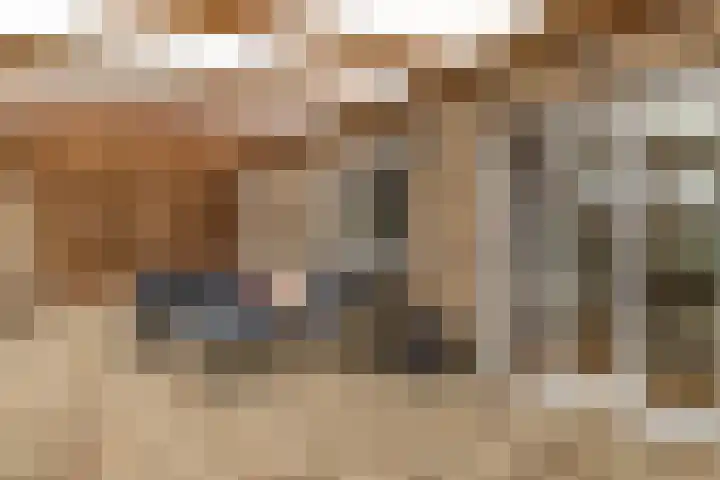 den Dries 40 Klein Zundert thumbnail 40