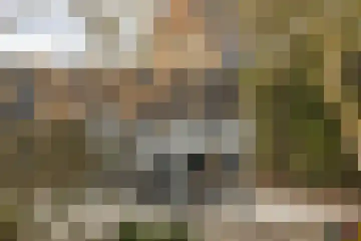 den Dries 40 Klein Zundert thumbnail 43
